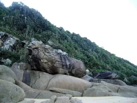Imagem Área de 296.000 m2 - Sendo 190 mts de Frente para Praia do Simão.