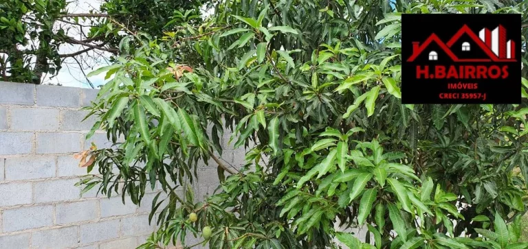 Imagem Chácara à Venda no Bairro da Lagoa em Paraibuna