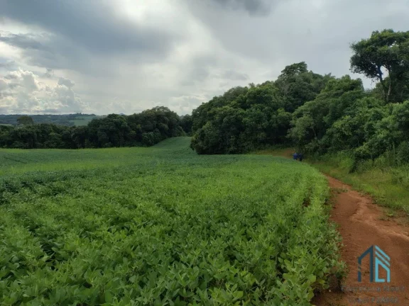 Terreno com 9,2 Alqueires, área verde ideal para plantio ou construção, em Campo Largo PR