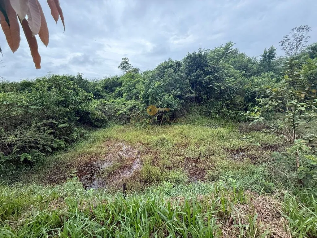 Imagem Sítio para Venda em Guapimirim / RJ no bairro Parque Nossa Senhora da Ajuda