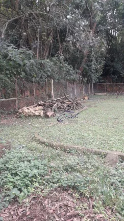 Imagem alugo ou vendo terreno 2.200 metros km 26 da Rdovia Raposo Tavares