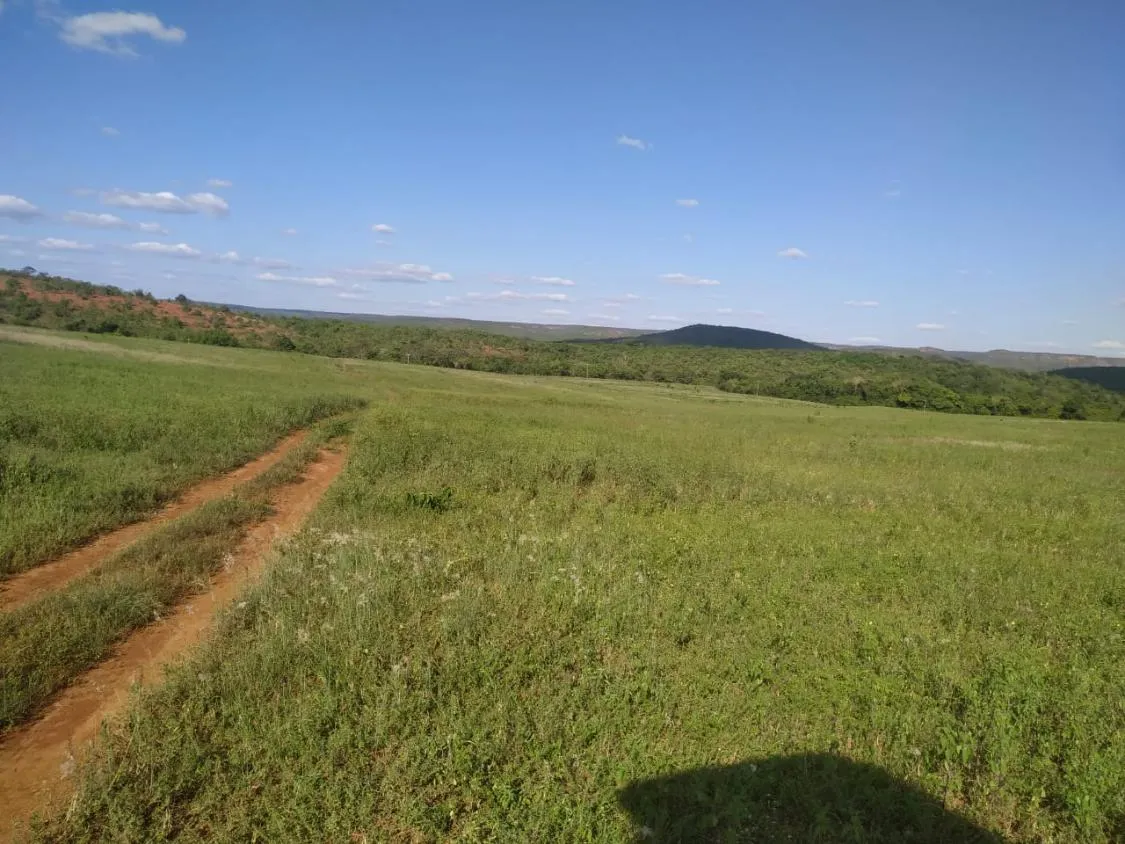Imagem FAZENDA PORTEIRA FECHADA À VENDA - REGIÃO DE DIAMANTINA 257 hectares de área total