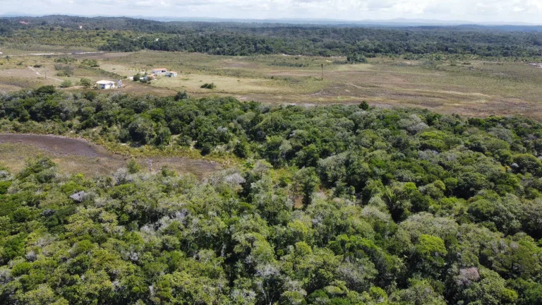 Imagem MÓDULOS RURAIS MATA ATLÂNTICA