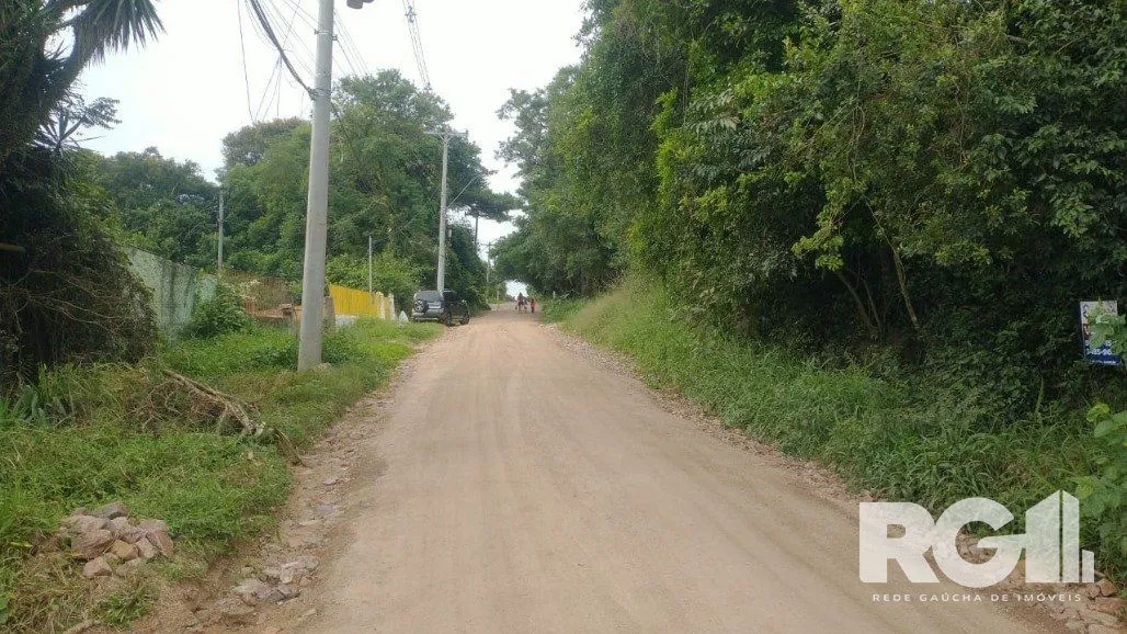Imagem Terreno em Fiuza