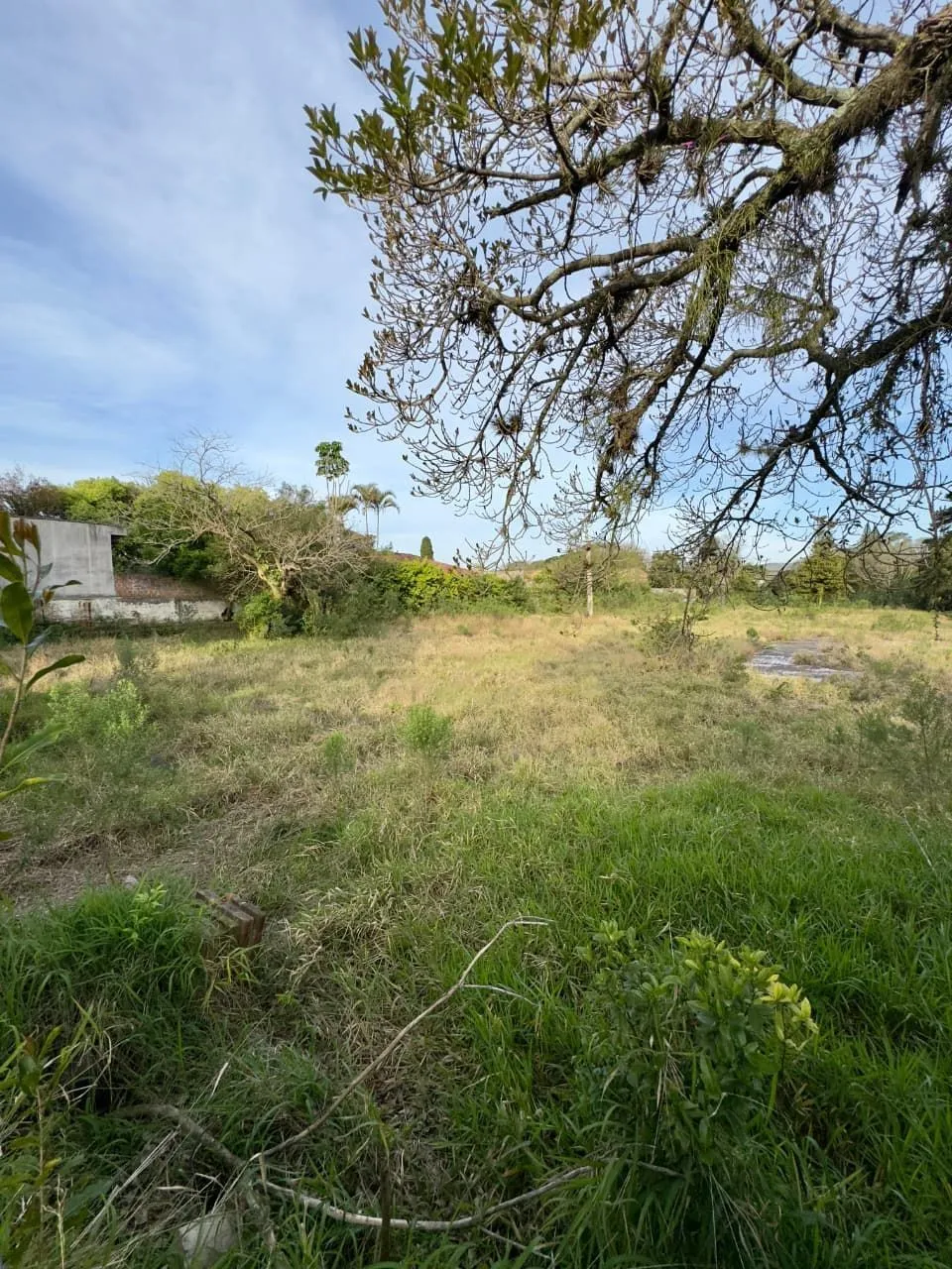 Imagem Terreno para Venda - COM ESTUDO DE VIABILIDADE PARA PROJETO COM 93 APTOS