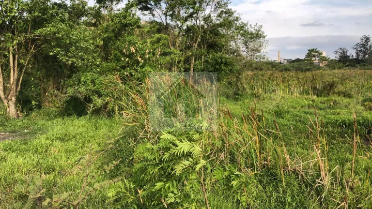 Imagem Terreno à Venda, 49.840 m² em Jardim Izildinha - Guarulhos