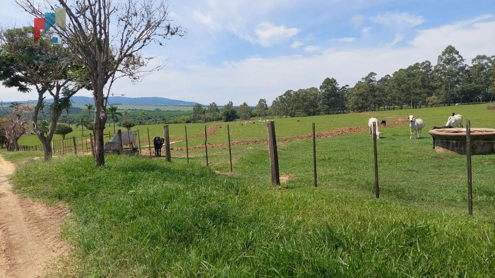 Imagem Fazenda a venda região de Tatuí SP