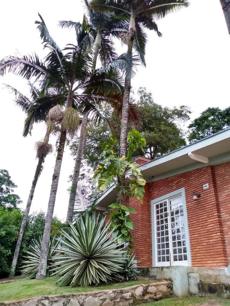 Imagem Chácara