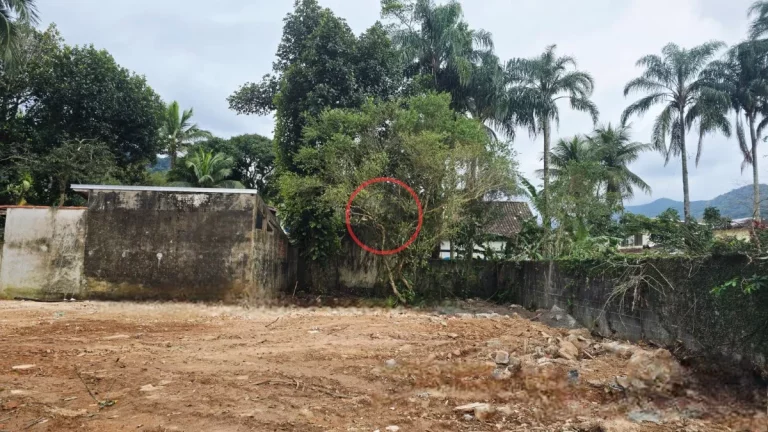 Imagem TERRENO EM BOIÇUCANGA 1300 METROS QUADRADOS, TODO MURADO,BEM LOCALIZADO,PERTO DE TODA ESTRUTURA DO BAIRRO.OPORTUNIDADE