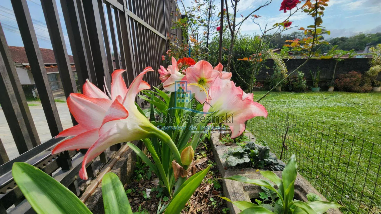Imagem Alugo sobrado bairro João Costa
