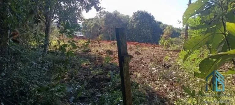 Imagem Chácara a venda, em Condomínio Bairro Santa Gema Colombo- PR