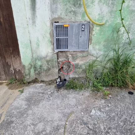 Imagem TERRENO PLANO COM ESCRITURA DEFINITIVA, COM 1.150 METROS, TODO MURADO,EM BOISSUCANGA. OTIMA LOCALIZAÇÃO
