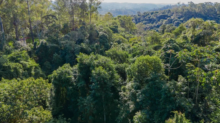 Imagem Terreno à venda - Itapevi/SP