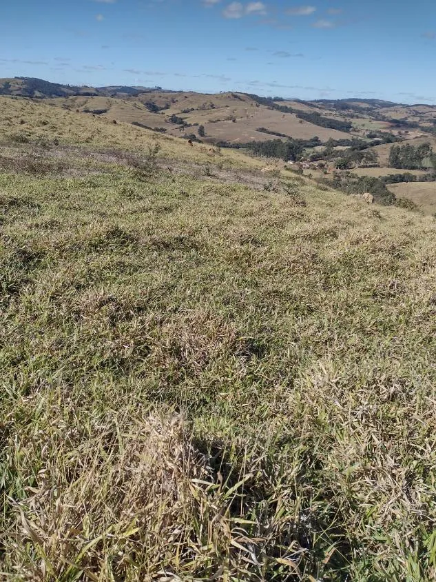 Imagem Vendo terreno em Crucilândia com 48 hectares de terra
