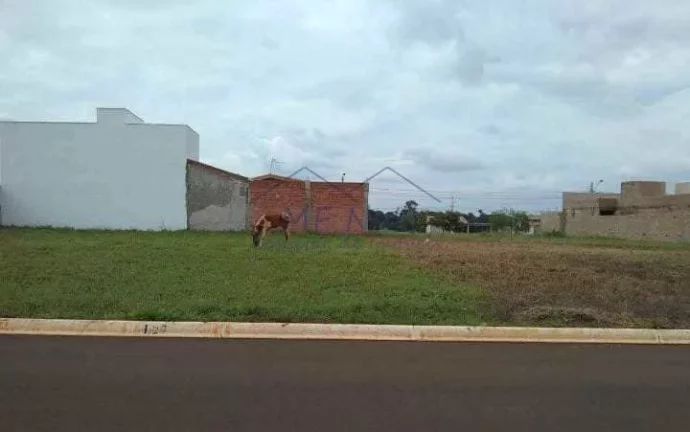 Imagem Terreno Padrão