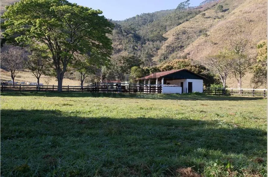Imagem Fazenda Produtiva e Infraestrutura Completa em 130 Alqueires