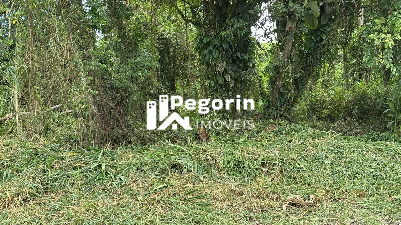 Imagem Terreno em Balneário Brandalize, Itapoá/SC