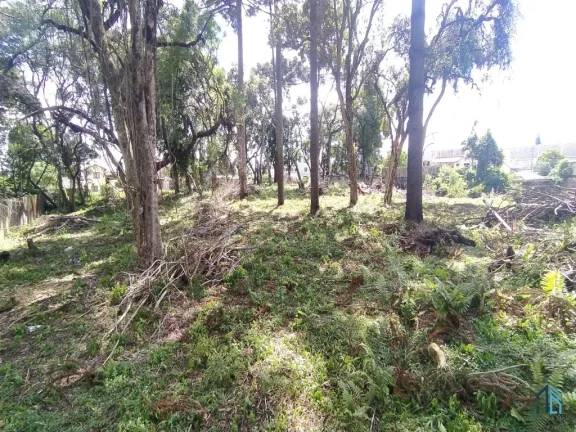 Imagem Terreno a venda 02 FRENTES, 4.750 m², no Hauer em Curitiba PR