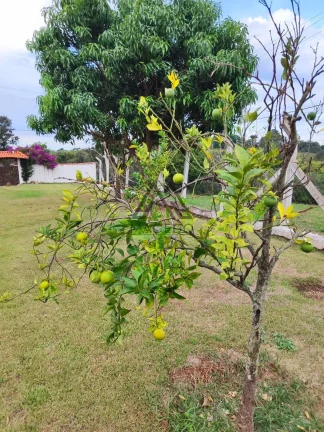 Imagem Casa Térrea à Venda – 1.000 m² de Terreno com Muito Conforto e Natureza