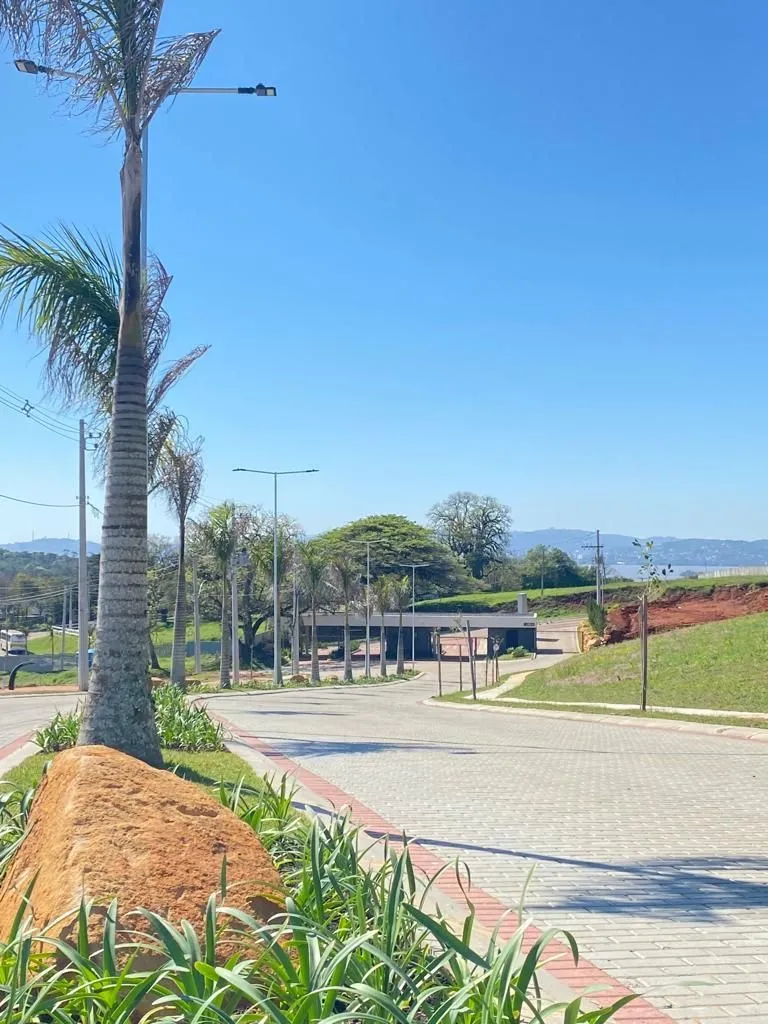 Imagem Terreno em Coronel Nassuca