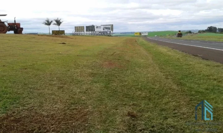Imagem Terreno 92mil m², entre a Cidade de Rolândia e Arapongas, Rodovia 986 km 8 contorno sul de Rolândia PR