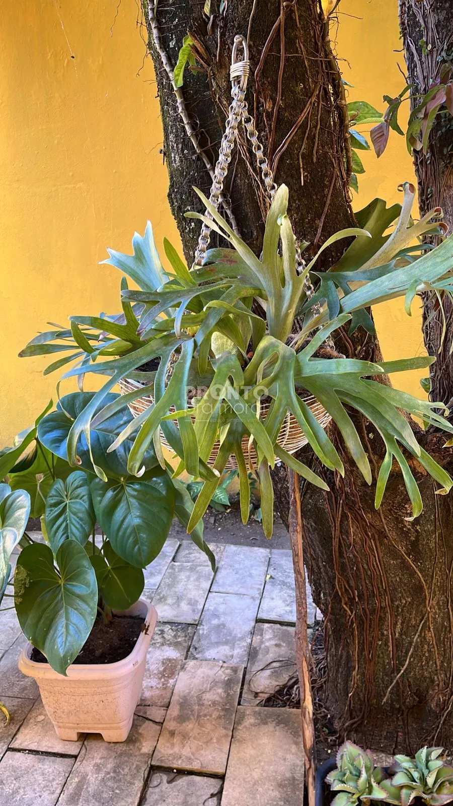 Imagem Casa em Maria Farinha