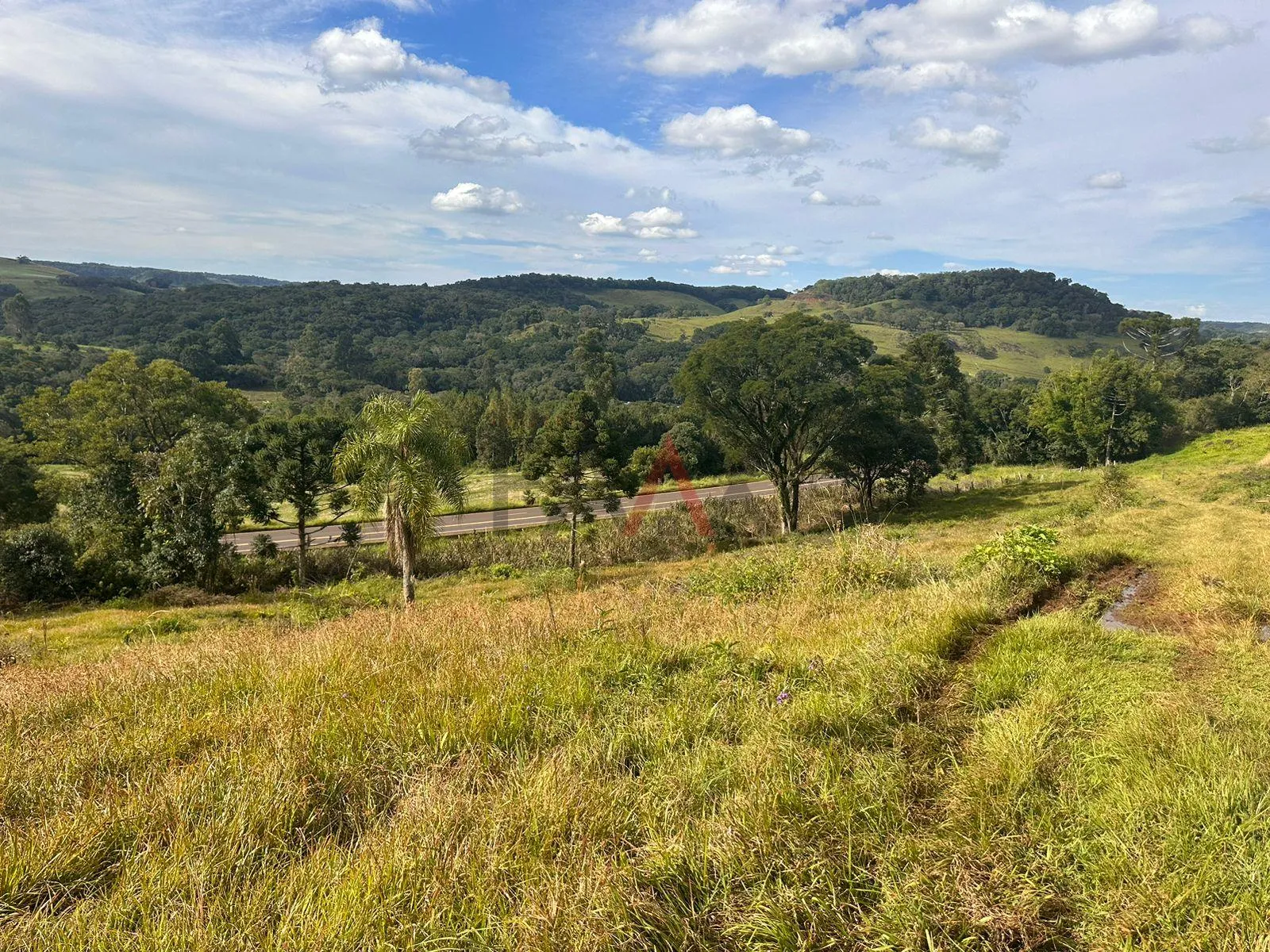 Imagem Ótima Chácara a venda 10 alqueires a 6 Km da cidade de Cantagalo