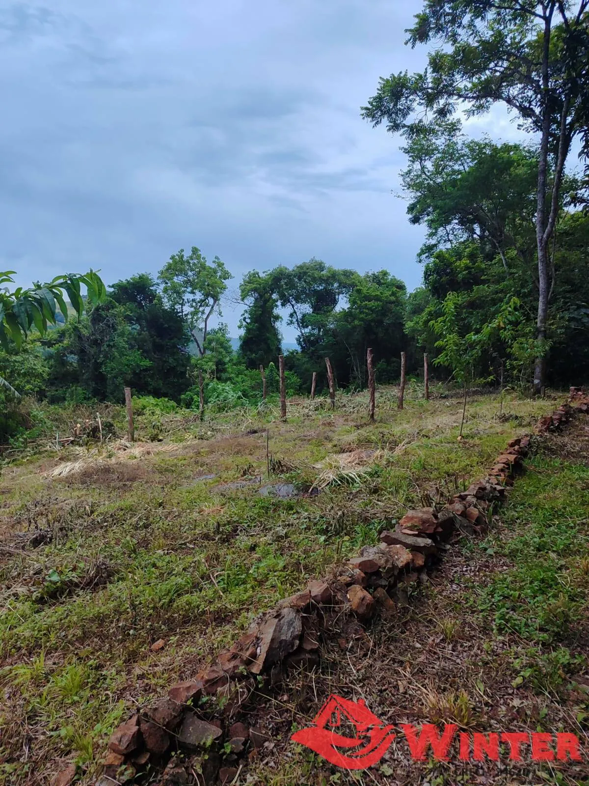 Imagem Área de terras com 28.571,42m² no Morro Gaúcho, Vale Real.