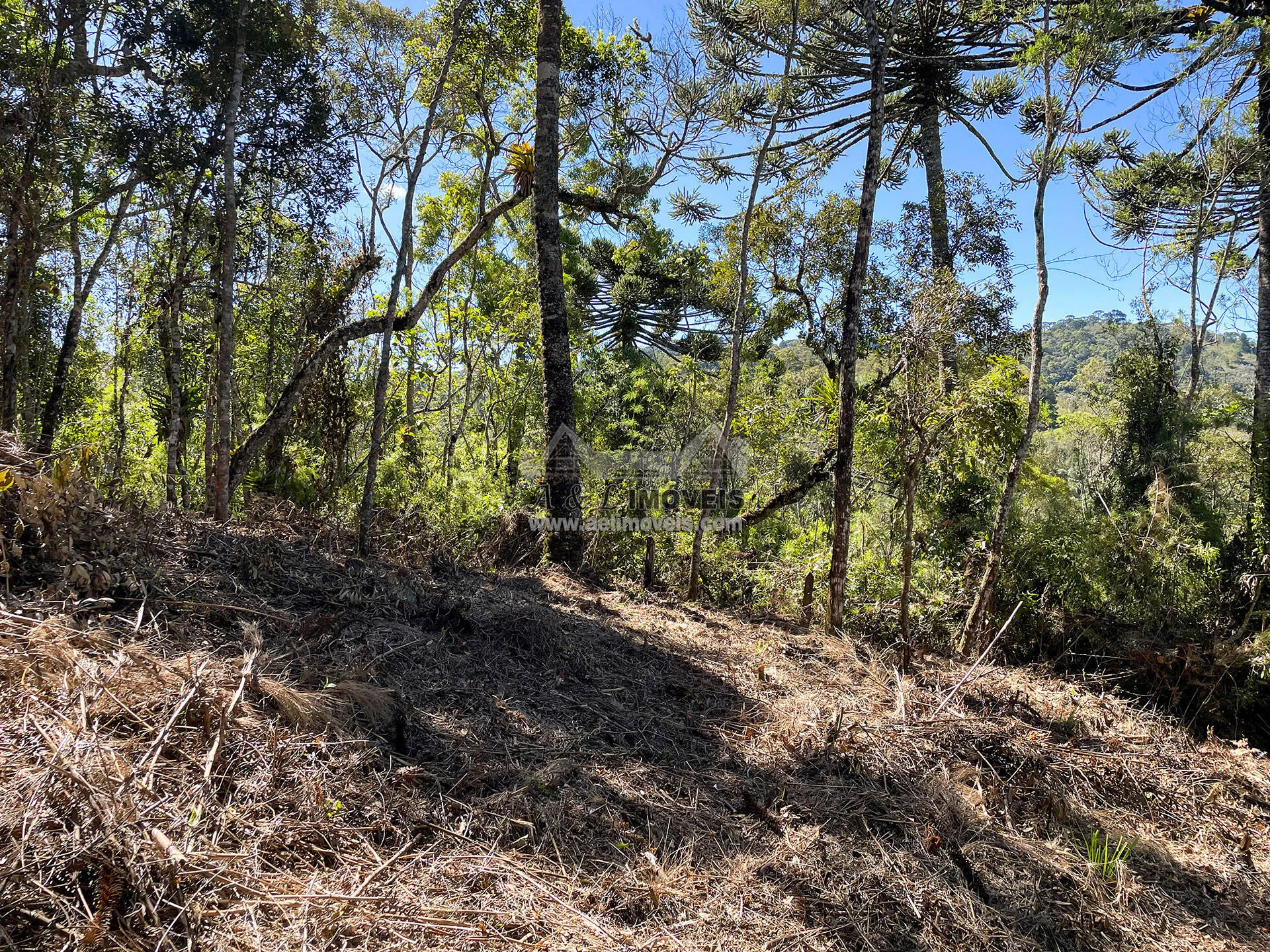 Imagem Terreno à venda em Campos do Jordão - Excelente opção para investimento