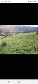 Imagem Terreno à Venda em Piedade dos Gerais / MG 15 hectares de área total