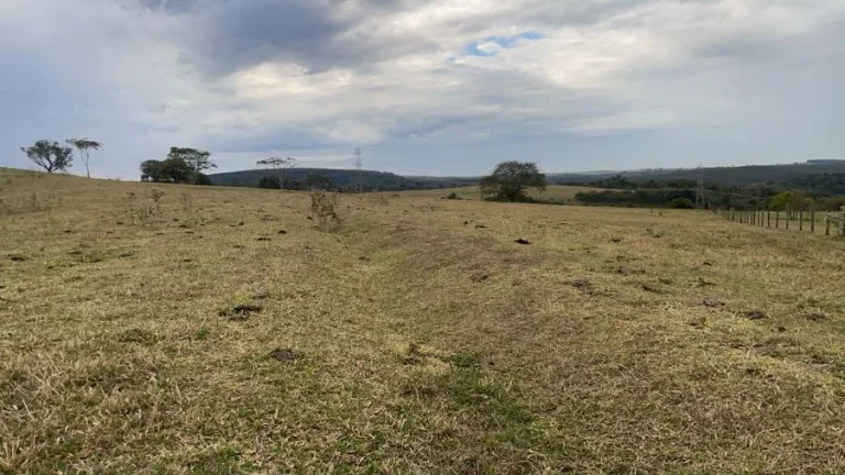 Imagem Fazenda à venda  Região Bauru/SP  235 alqueires