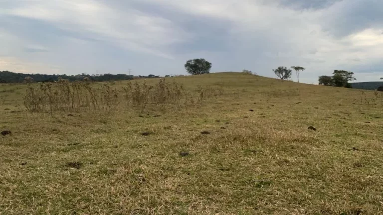 Imagem Fazenda à venda  Região Bauru/SP  235 alqueires