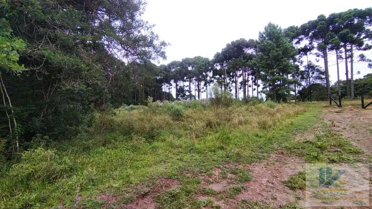 Imagem Terreno para Venda em São José dos Pinhais, Contenda