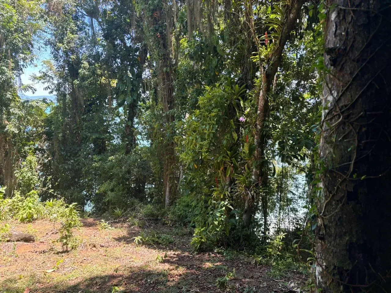 Imagem Terreno à Venda, 5500 metros em Ilha a Venda  - Paraty