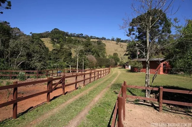 Imagem FAZENDA RURAL em SÃO BENTO DO SAPUCAÍ - SP, São Bento