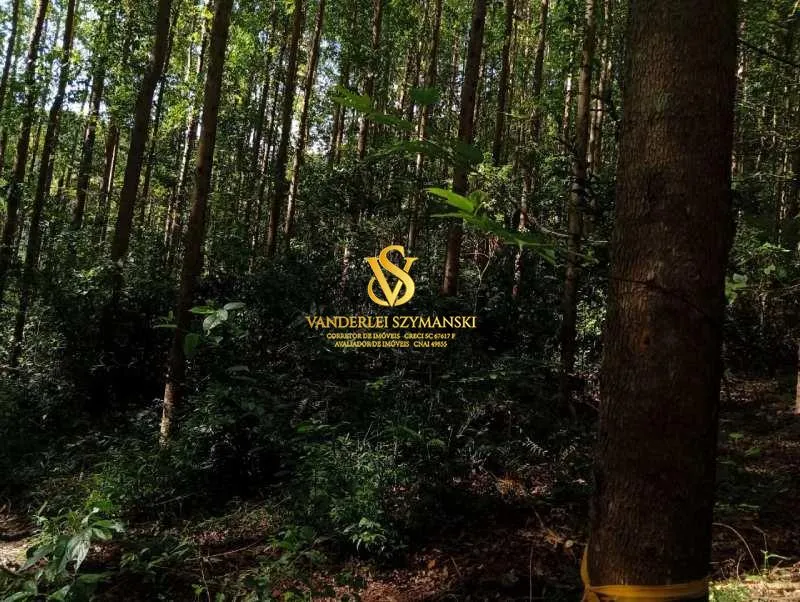 Imagem Chácara, Rural para Venda, Centro, União do Oeste