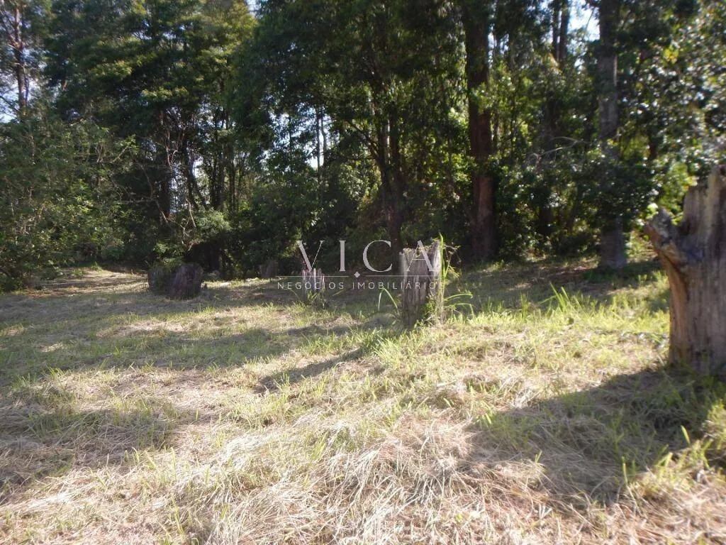Imagem Terreno, 1.694 m², à venda por R$ 7.610.000- Alphaville - Barueri