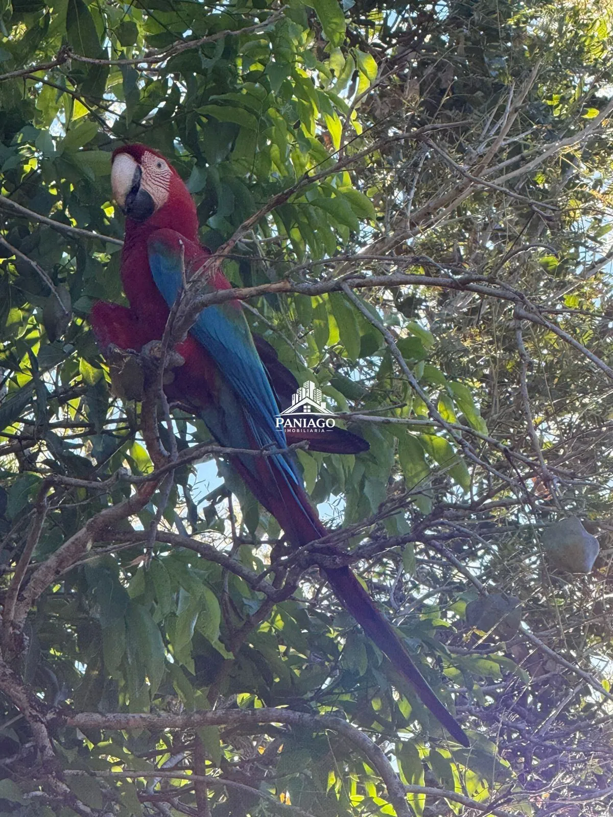Imagem Chácara de 18 Hectares com Beira de Lago à Venda OPORTUNIDADE