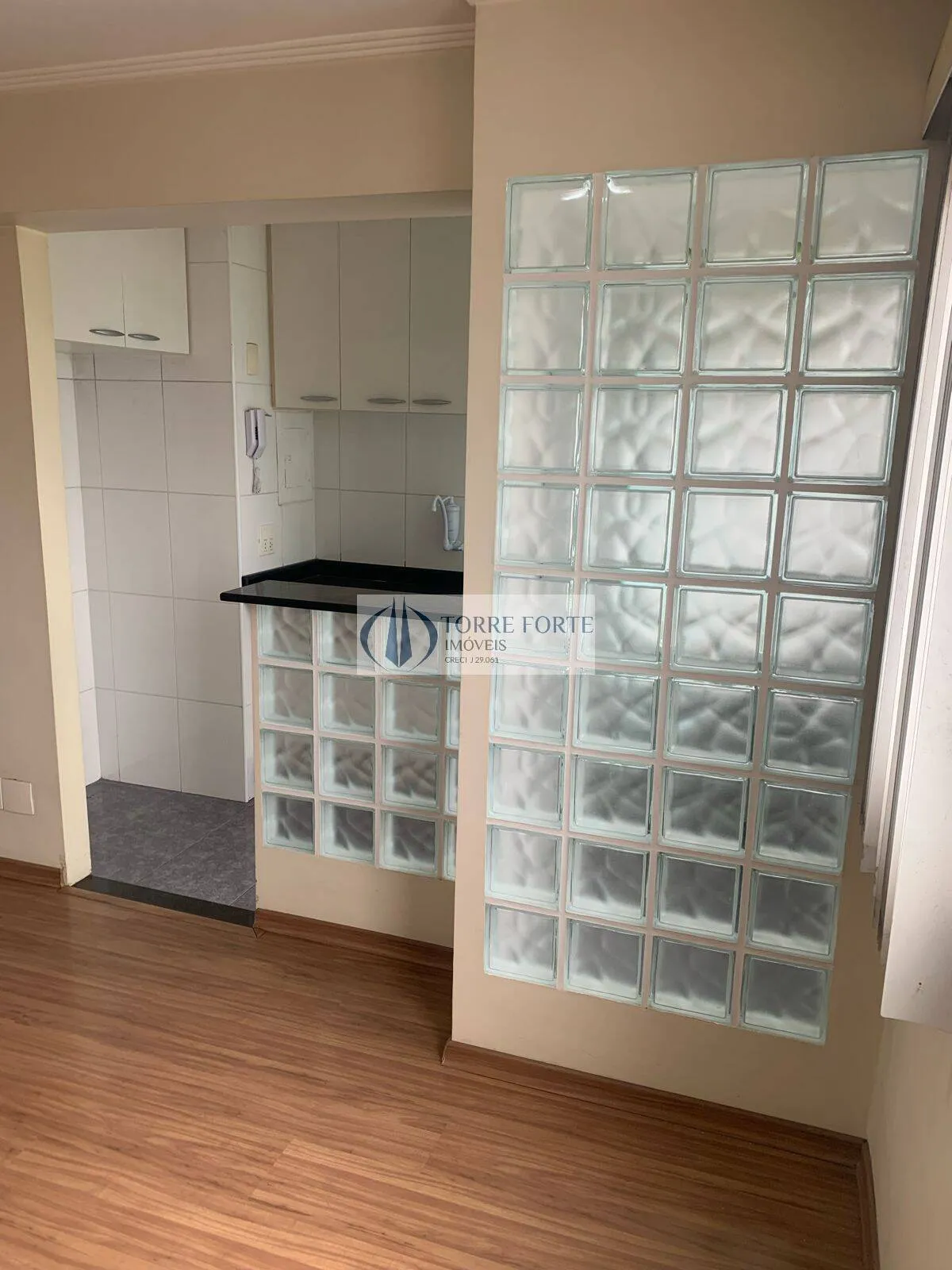 Imagem Lindo Apartamento com 1 dormitório, sendo 1 suíte, 1vaga, Vila Mariana