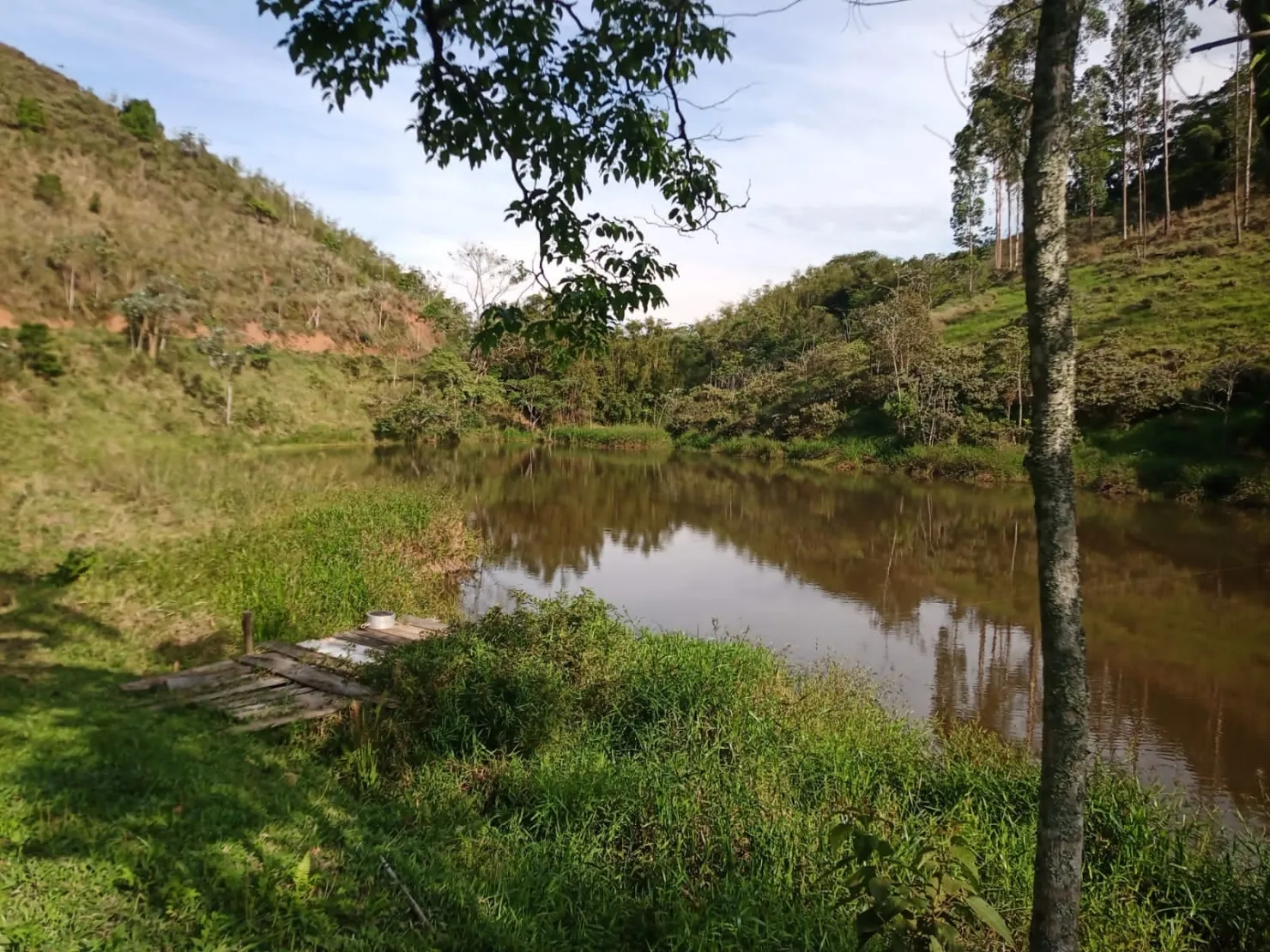 Sítio com 9 Alqueires em Ribeirão Grande com Abundância de Água