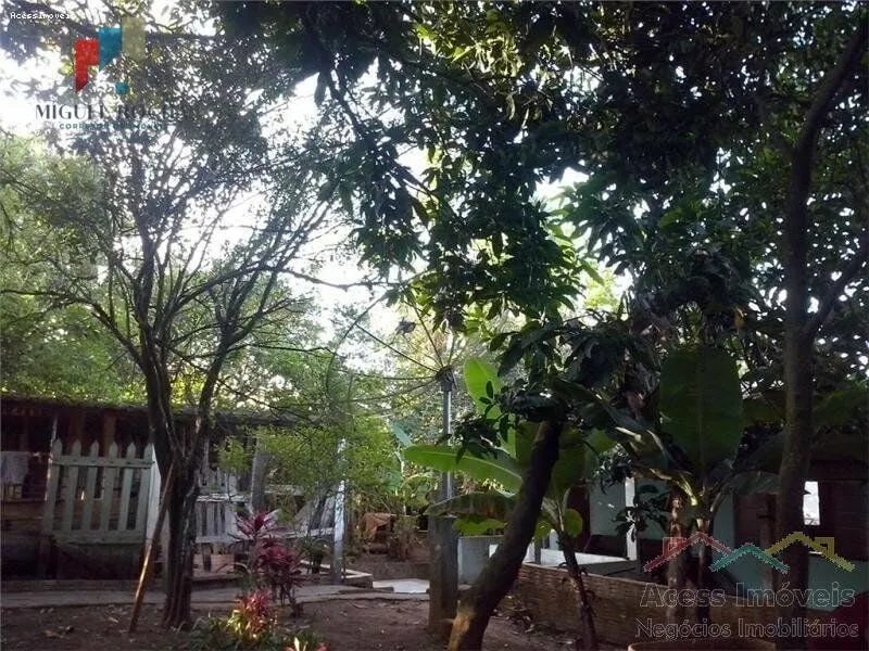 Imagem Chácara Chácara em Jardim Palmira, Tatuí/SP