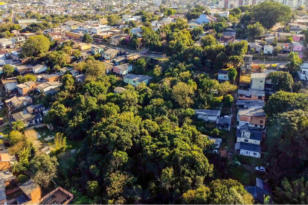 Imagem Terreno em Bela Vista