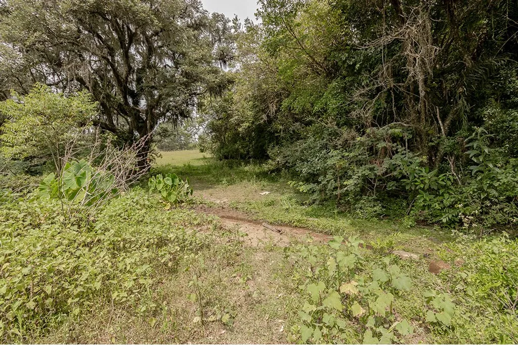 Imagem Terreno em Belém Velho