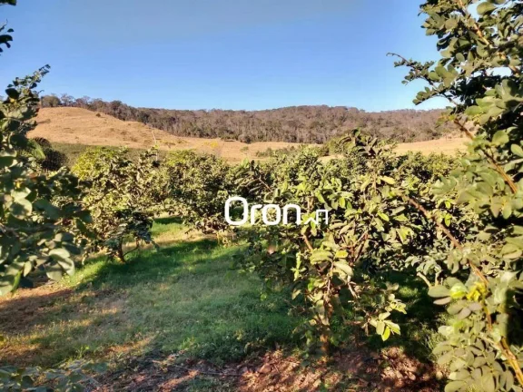 Imagem Fazenda com 5 dormitórios à venda, 3500000 m² por R$ 65.000.000,00 - Goiânia - Goiânia/GO