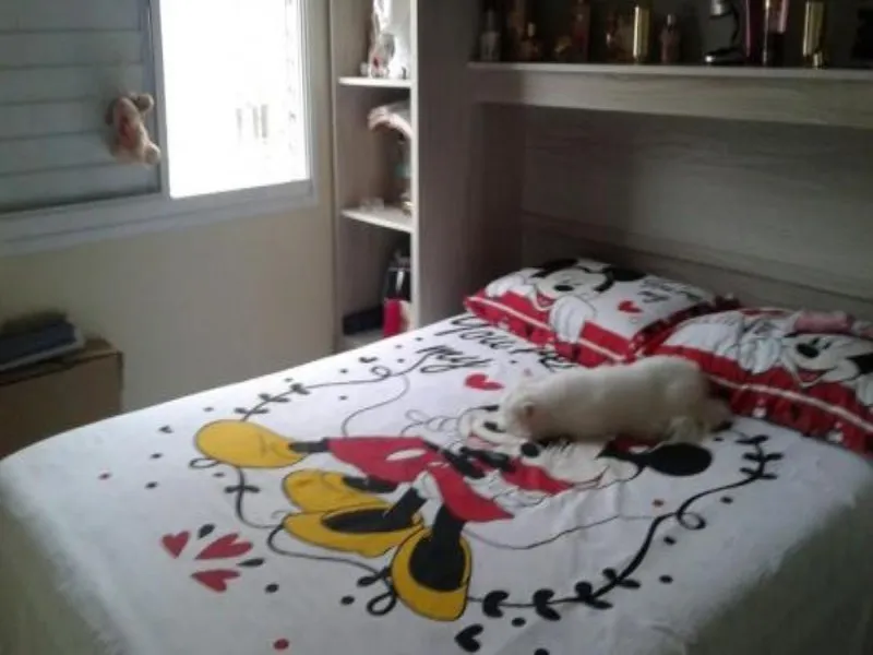 Imagem Condomínio Fatto Santo André, Apartamento à venda com 3 quartos em Vila Alzira Santo André SP