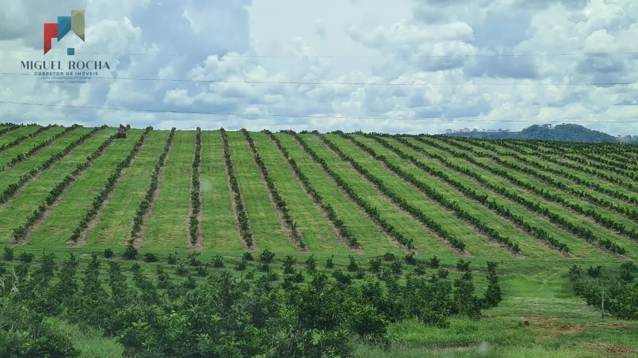 Imagem Fazenda região de Araraquara SP