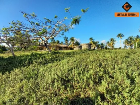 Imagem TERRENO EM BARRA DO JACUIPE ? CAMAÇARI