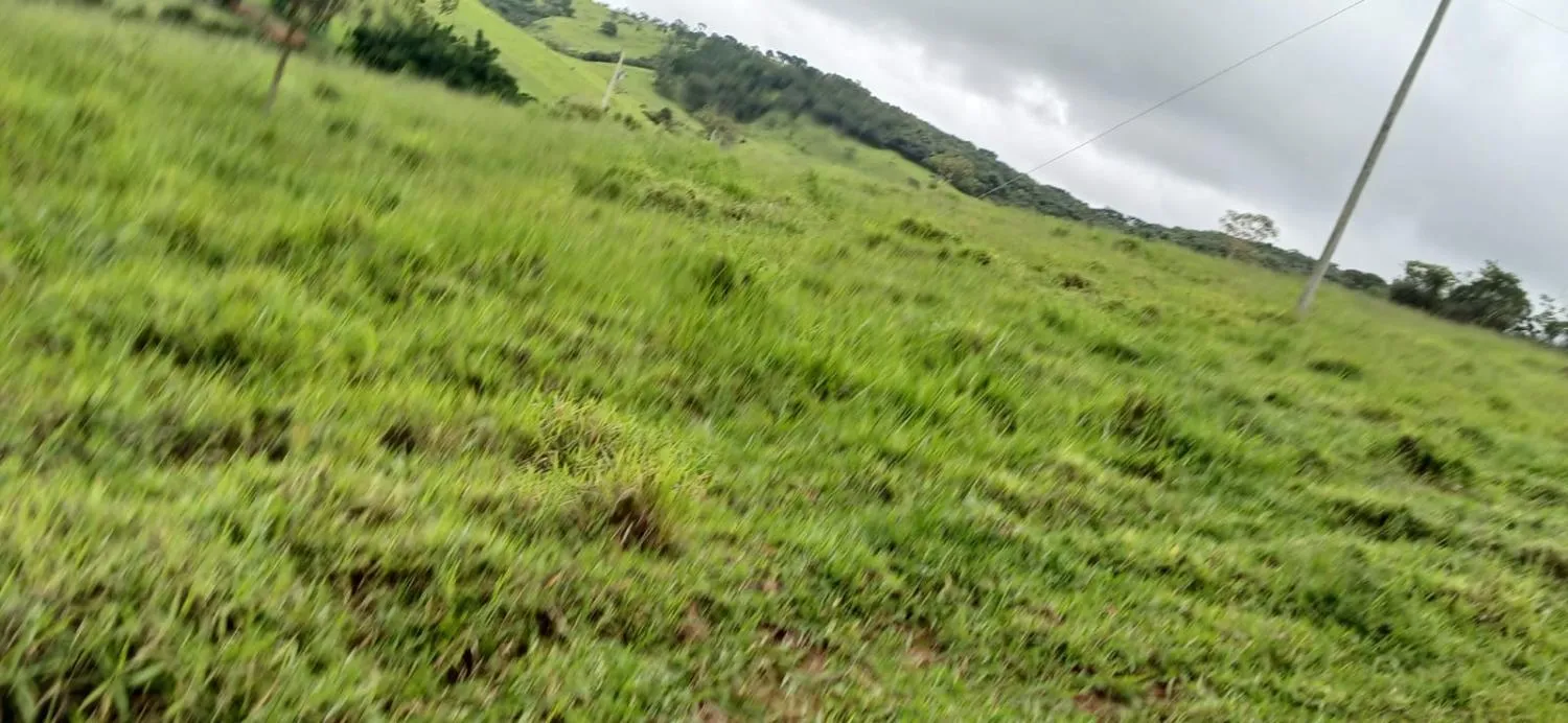 Imagem SÍTIO ESPETACULAR À VENDA EM PASSA TEMPO/MG -- 5,9 hectares de terra