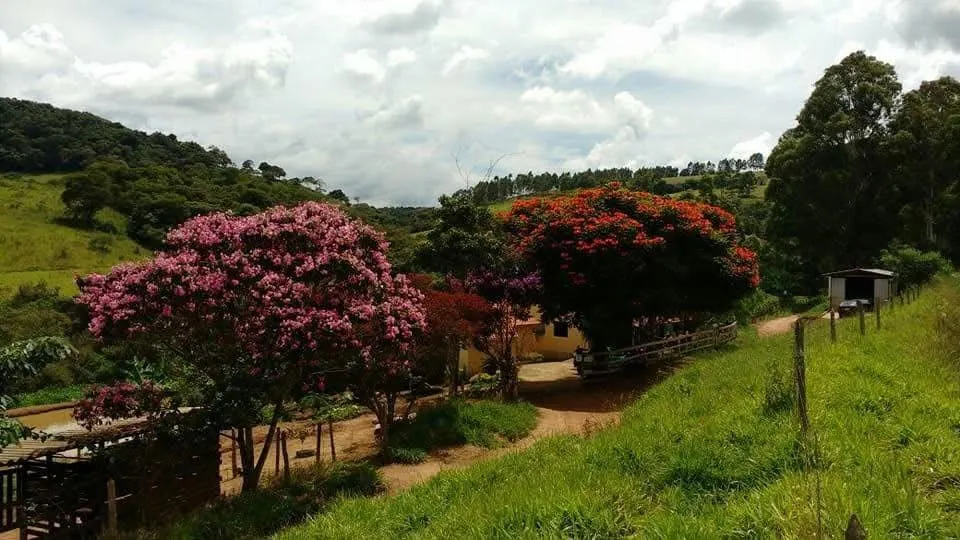 Imagem Vendo excelente sítio em Desterro de Entre Rios/MG, com 30.000 m² de área