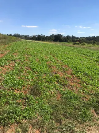 Terreno à Venda, 500 m² em verava - Ibiúna